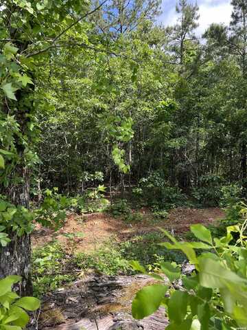 xx lot #1 ROSBORO, Glenwood, AR 71943