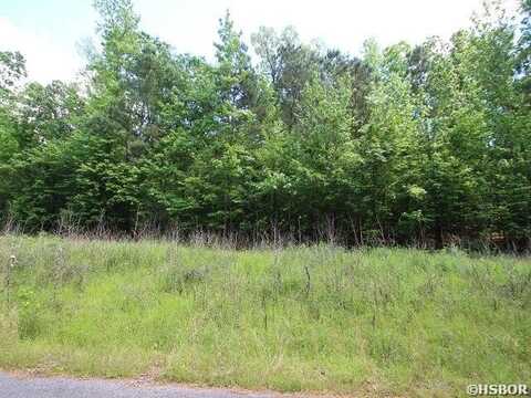 Lot #2440A DIAMONDHEAD Drive, Hot Springs, AR 71913