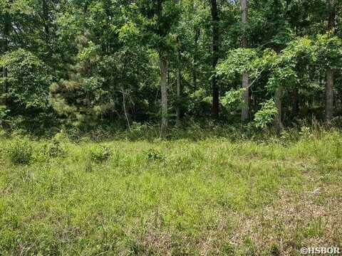 Lot 648 ARLINGTON Drive, Hot Springs, AR 71913