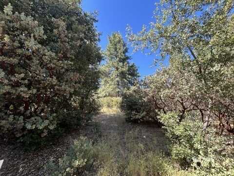 Deerfoot Ln., Idyllwild, CA 92549