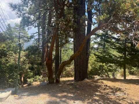 23270 HWY 243, Idyllwild, CA 92549