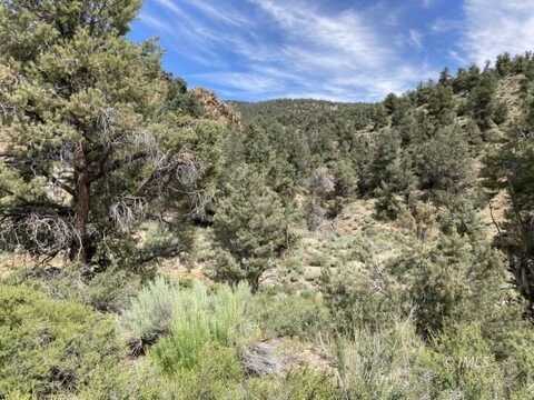 Goat Ranch Cutoff, Mono City, CA 93541