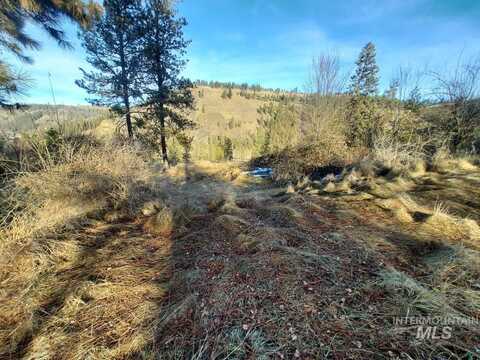 Tbd Lukes Gulch Rd, Stites, ID 83552