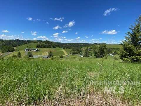 Lot 25 Shenandoah, Kamiah, ID 83536