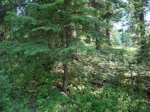 Lot 2 Majestic View Drive, McCall, ID 83638