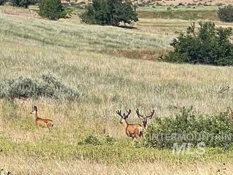 Tbd Apple Lane 6 And 7, Mesa, ID 83643