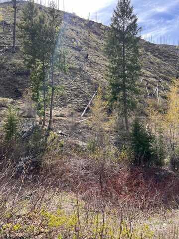 Quartz Creek Rd., Atlanta, ID 83647