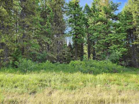 1130 Wilkins Rd, Deary, ID 83823