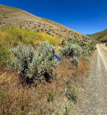 Lot 1,Parcel 1 Dennett Creek Rd, Weiser, ID 83672