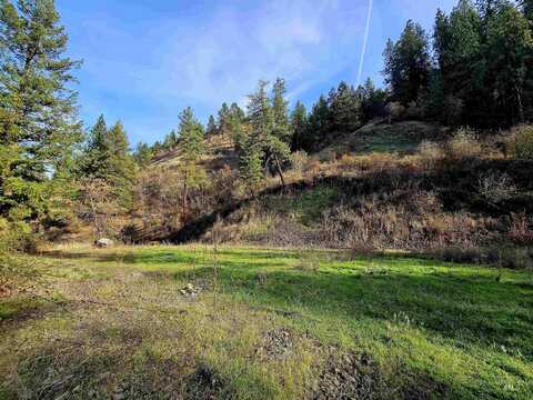 Tbd Pebble Ln, Juliaetta, ID 83535