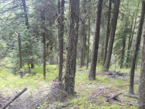 000 Hansen Ridge Road, Anatone, WA 99401