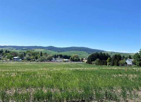 2918 Cyprus Court, Moscow, ID 83843