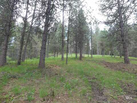 22743 Old Melrose Grade, Peck, ID 83545