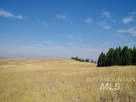 Tbd Ditch Creek Road, Council, ID 83612