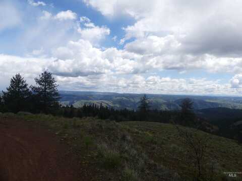 001 Hansen Ridge Road, Anatone, WA 99401