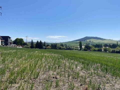 2906 Wildrose, Moscow, ID 83843