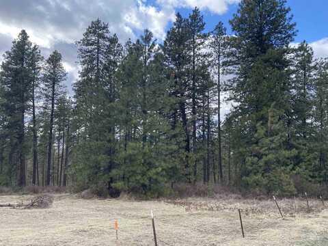 000 Saddle Ridge (Parcel 1), Moscow, ID 83843