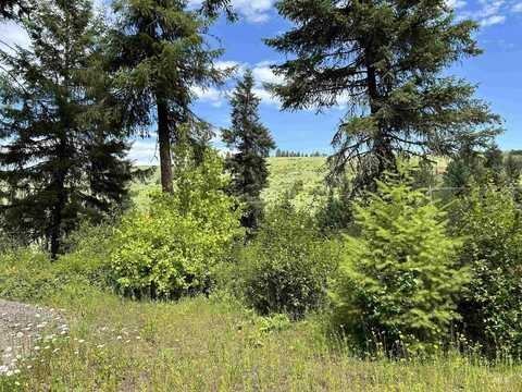 Tbd Long Bluff Road, Kooskia, ID 83539