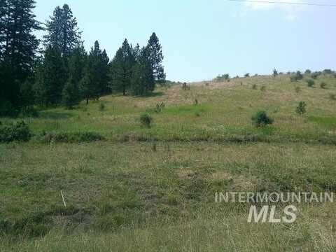 Tbd Johnson Road, Kamiah, ID 83536