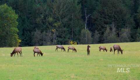 Tbd Lot 3 Empty Saddle Way, Donnelly, ID 83615