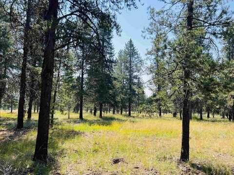 Lot 5 Coy Road, McCall, ID 83638