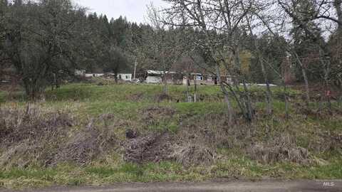 Tbd Pine St Blk 43, Lot 2, Peck, ID 83545