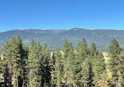 Tbd Hot Springs Rd, New Meadows, ID 83654