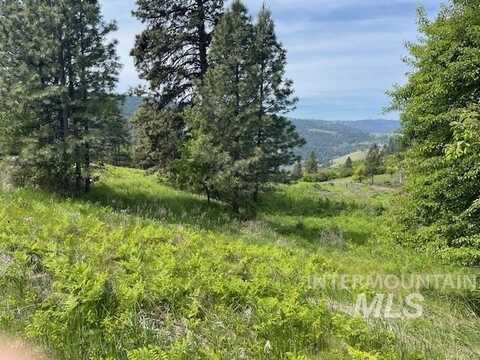 Tbd Sunnyside Bench Rd., Lenore, ID 83541