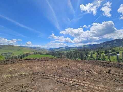 Tbd Arabian Lane Lots 2,4,5, Lenore, ID 83541