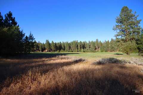 L4 Ponderosa Court, New Meadows, ID 83654