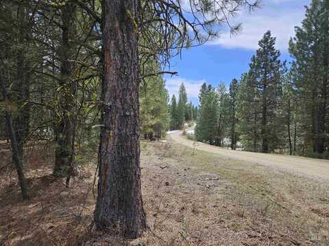 129 Price Loop  Lot 48, Cascade, ID 83611