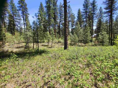 11 Reinhart Rd. Lot #17, Idaho City, ID 83631