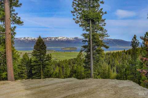 67 Little Donner Drive, Cascade, ID 83611