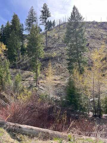 Quartz Creek Rd., Atlanta, ID 83647