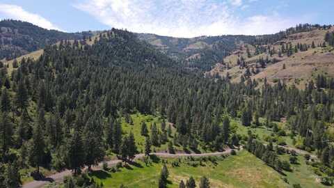 Tbd Saddle Ridge Rd, White Bird, ID 83544