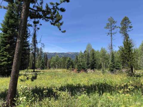 176 Meadow Pl, Donnelly, ID 83615