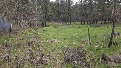 Tbd Pine St Blk 56, Lot 5, Peck, ID 83545