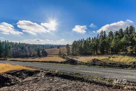 5304 Robinson Park Road, Moscow, ID 83843