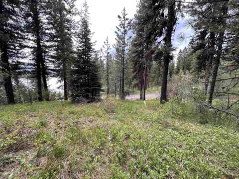 Lot 1 Wilderness Ranch, High Valley, ID 83611