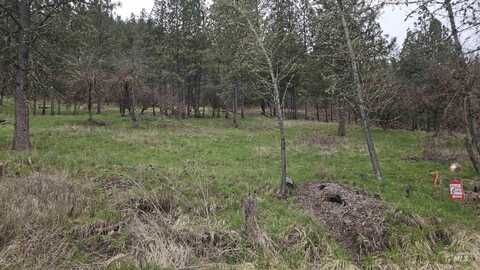 Tbd Pine St Blk 56, Lot 3, Peck, ID 83545