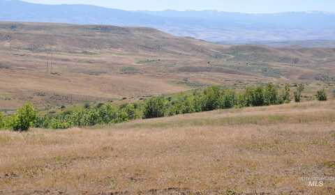 Tbd Goodrich Rd Parcel B, Cambridge, ID 83610