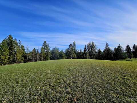 Tbd Fern Hill Rd, Kendrick, ID 83537