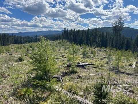 333 French Gulch Parcel 3, Elk City, ID 83525