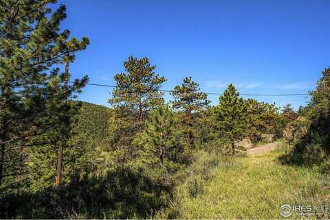 601 Pine Tree Dr, Estes Park, CO 80517