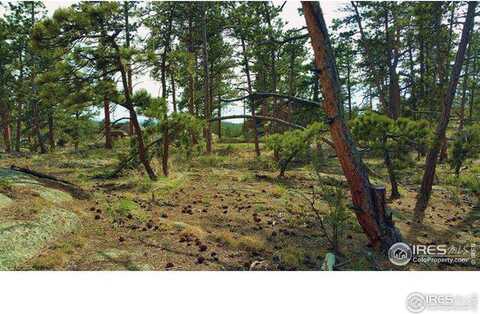 3000 E Fox Acres Dr, Red Feather Lakes, CO 80545