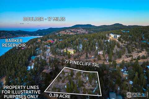 71 Pinecliff Trl, Nederland, CO 80466