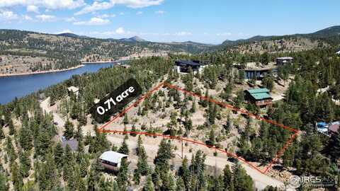 46 Pinecliff Trl, Nederland, CO 80466