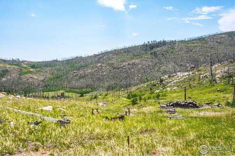 2384 Rist Creek Rd, Bellvue, CO 80512