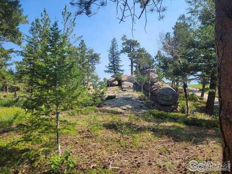 612 Fox Acres Dr W, Red Feather Lakes, CO 80545