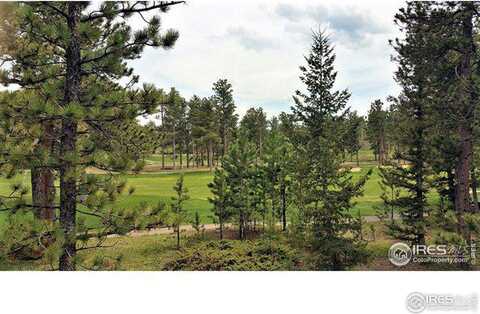 2945 E Fox Acres Dr, Red Feather Lakes, CO 80545